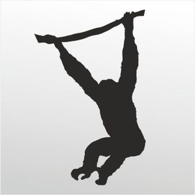 100 cm Maymun Folyo Sticker