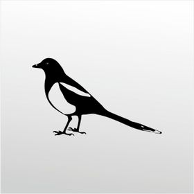 100 cm Muhabbet Kuşu Folyo Sticker