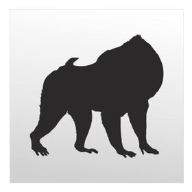 100 cm Orangutan Folyo Sticker