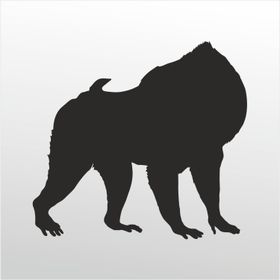 100 cm Orangutan Folyo Sticker