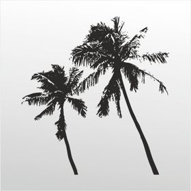 100 cm Palmiyeler Folyo Sticker