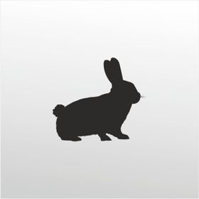 100 cm Tavşan Folyo Sticker
