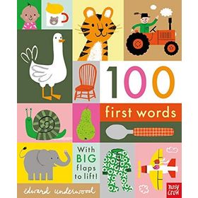 100 First Words - Edward Underwood