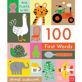 100 First Words - Nosy Crow Yayınları