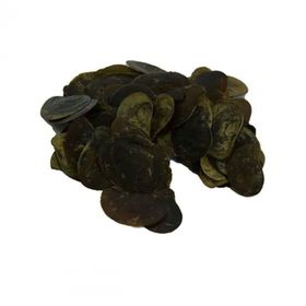 100 gr Cin Tırnağı