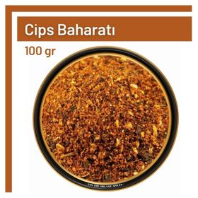 100 gr Cips Baharatı