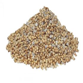 1000 gr Doğal Tane Kişniş