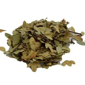 1000 gr Paket Doğal Şimşir Yaprağı