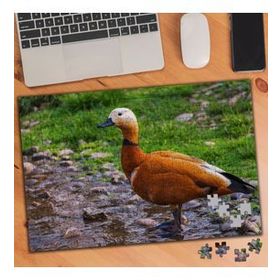 106544 Güzel Ördek 240 Parça Puzzle Yapboz