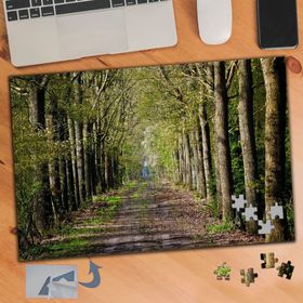 107 Ağaçlı Orman Yolu Doğa Manzarası 240 Parça Puzzle Yapboz Tablo