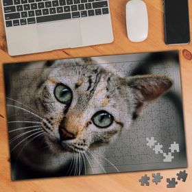 1081951 Geniş Objektif Sokak Kedisi 240 Parça Puzzle Yapboz