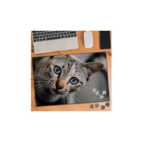 1081951 Geniş Objektif Sokak Kedisi 240 Parça Puzzle Yapboz