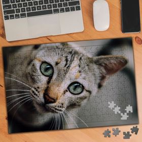 1081951 Geniş Objektif Sokak Kedisi 240 Parça Puzzle Yapboz