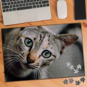 1081951 Geniş Objektif Sokak Kedisi 240 Parça Puzzle Yapboz