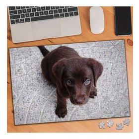 1082141 Yavru Yeşil Gözlü Güzel Köpek 240 Parça Puzzle Yapboz