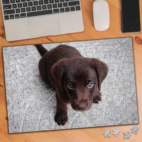 1082141 Yavru Yeşil Gözlü Güzel Köpek 240 Parça Puzzle Yapboz