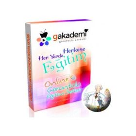 11. Sınıf Fizik Online Görüntülü Eğitim Seti - Kollektif