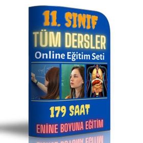 11. Sınıf Tüm Dersler Online Görüntülü Eğitim Seti - Kollektif