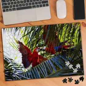 1149648 Rengarenk Papağanlar 240 Parça Puzzle Yapboz