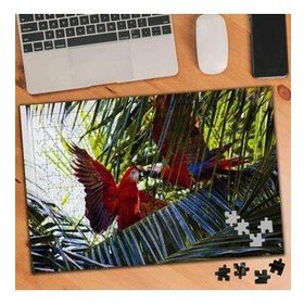 1149648 Rengarenk Papağanlar 240 Parça Puzzle Yapboz