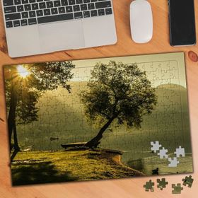 1192669 Göl Kenarı Güneşli Hava Ağaçlar 240 Parça Puzzle Yapboz