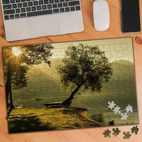 1192669 Göl Kenarı Güneşli Hava Ağaçlar 240 Parça Puzzle Yapboz