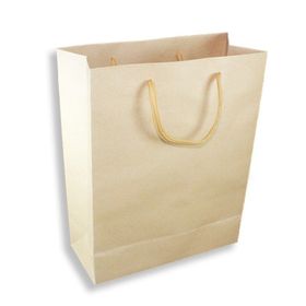 12 Adet 19x24 cm Adet Kraft Karton Hediyelik Çanta