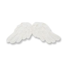 12 Adet Melek Kanadı Biblo
