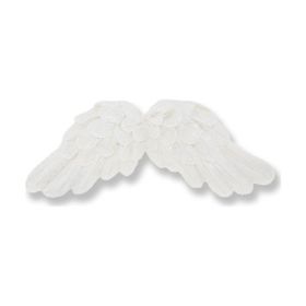 12 Adet Melek Kanadı Biblo