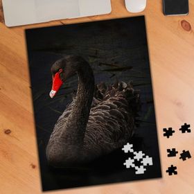 122983 Kırmızı Gagalı Ördek 240 Parça Puzzle Yapboz