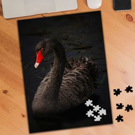 122983 Kırmızı Gagalı Ördek 240 Parça Puzzle Yapboz