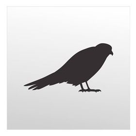 130 cm Arı Kuşu Folyo Sticker