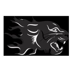 130 cm Aslan 11 Folyo Sticker