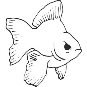 130 cm Balık Folyo Sticker