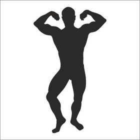 130 cm Body Gym Folyo Sticker