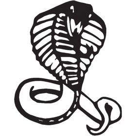 130 cm Cobra Folyo Sticker