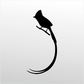 130 cm Hint Bülbülü Folyo Sticker