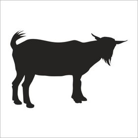 130 cm Keçi Folyo Sticker