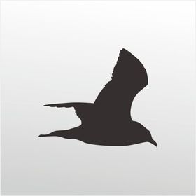 130 cm Martı Folyo Sticker