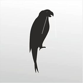 130 cm Papağan Folyo Sticker