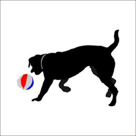130 cm Top Oynayan Köpek Folyo Sticker