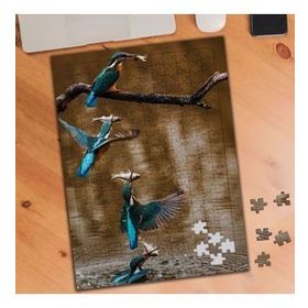 1338235 Kuşların Balık Avı 240 Parça Puzzle Yapboz