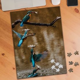 1338235 Kuşların Balık Avı 240 Parça Puzzle Yapboz