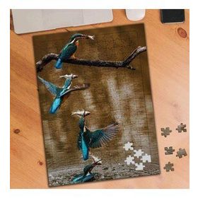 1338235 Kuşların Balık Avı 240 Parça Puzzle Yapboz