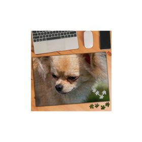 1350993 Pomeranian Cins Köpek 240 Parça Puzzle Yapboz