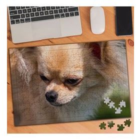 1350993 Pomeranian Cins Köpek 240 Parça Puzzle Yapboz