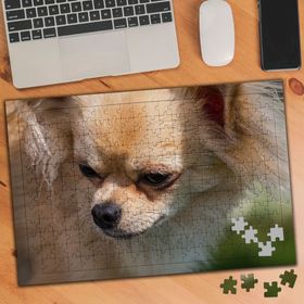 1350993 Pomeranian Cins Köpek 240 Parça Puzzle Yapboz