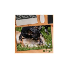 1356662 Oyun Oynayan Köpekler 240 Parça Puzzle Yapboz