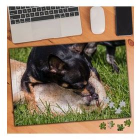 1356662 Oyun Oynayan Köpekler 240 Parça Puzzle Yapboz