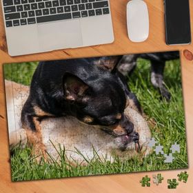 1356662 Oyun Oynayan Köpekler 240 Parça Puzzle Yapboz